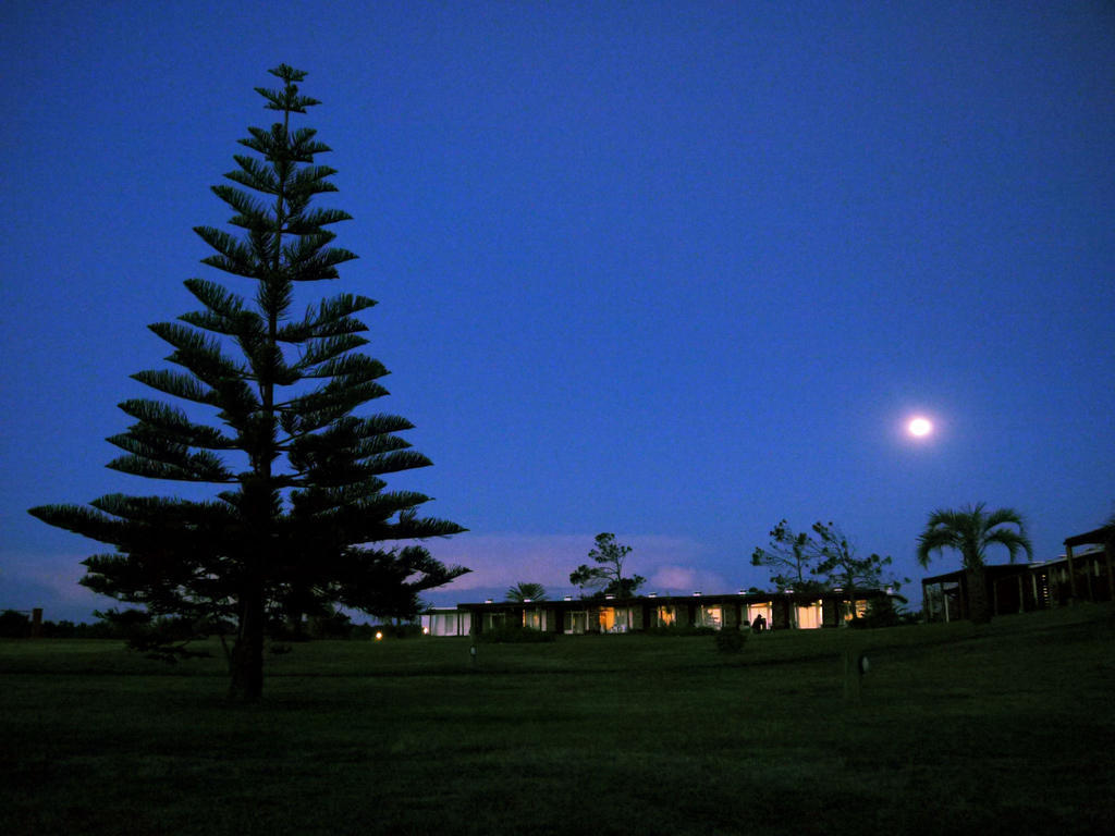 Tio Tom Villa Punta del Este Bilik gambar